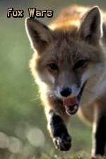 Watch Fox Wars M4uhd