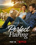 Watch A Perfect Pairing M4uhd