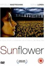 Watch Sunflower M4uhd