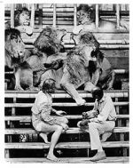 Watch Roar: The Most Dangerous Movie Ever Made M4uhd