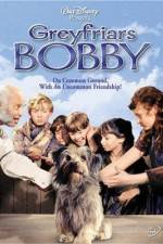 Watch Greyfriars Bobby The True Story of a Dog M4uhd