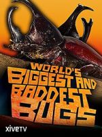 Watch World\'s Biggest and Baddest Bugs M4uhd