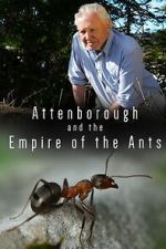 Watch Attenborough and the Empire of the Ants M4uhd