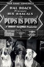 Watch Pups Is Pups M4uhd