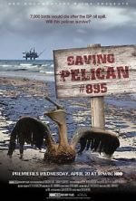Watch Saving Pelican 895 (Short 2011) M4uhd