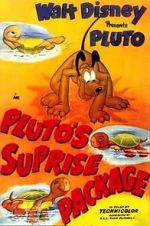 Watch Pluto\'s Surprise Package M4uhd