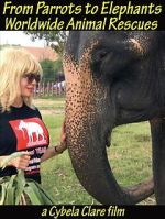 Watch From Parrots to Elephants: Worldwide Animal Rescues M4uhd