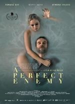 Watch A Perfect Enemy M4uhd