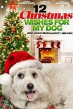 Watch 12 Christmas Wishes For My Dog M4uhd