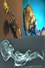 Watch Desert of the Skeletons M4uhd