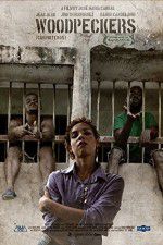 Watch Woodpeckers M4uhd