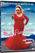 Watch Pink Flamingos M4uhd