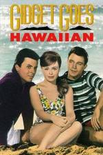 Watch Gidget Goes Hawaiian M4uhd