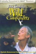 Watch Jane Goodall's Wild Chimpanzees M4uhd