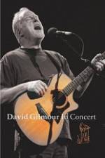 Watch David Gilmour in Concert - Live at Robert Wyatt's Meltdown M4uhd
