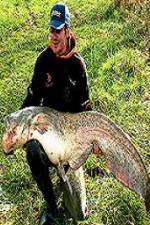 Watch Viking Expedition M4uhd