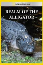 Watch National Geographic Realm of the Alligator M4uhd