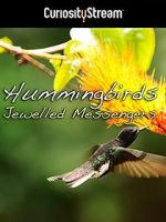 Watch Hummingbirds Jewelled Messengers M4uhd
