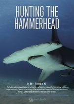 Watch Hunting the Hammerhead M4uhd