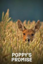 Watch Poppy\'s Promise: Secret Life in a Cornfield M4uhd