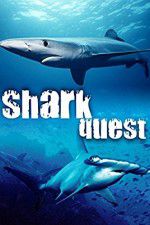 Watch Shark Quest M4uhd
