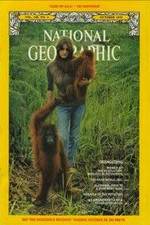 Watch Search for the Great Apes M4uhd