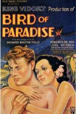 Watch Bird of Paradise M4uhd