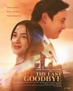 Watch The Last Goodbye M4uhd