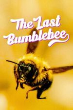 Watch The Last Bumblebee M4uhd