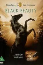 Watch Black Beauty M4uhd