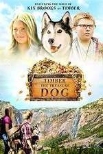 Watch Timber the Treasure Dog M4uhd