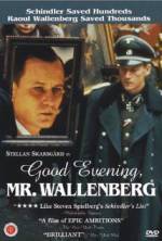 Watch Good Evening, Mr. Wallenberg M4uhd