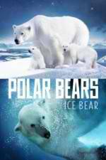 Watch Polar Bears Ice Bear M4uhd