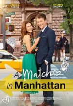 Watch A Match in Manhattan M4uhd