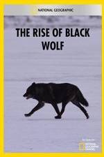 Watch The Rise of Black Wolf M4uhd
