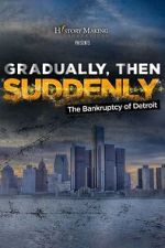 Watch Gradually, Then Suddenly: The Bankruptcy of Detroit M4uhd
