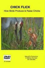 Watch Chick Flick How Birds Produce and Raise Chicks M4uhd