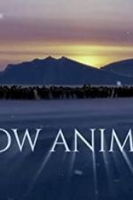 Watch Snow Animals M4uhd