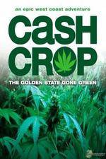 Watch Cash Crop M4uhd
