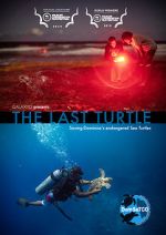 Watch The Last Turtle (Short 2019) M4uhd