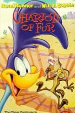 Watch Ready Woolen and Able M4uhd