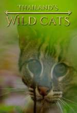 Watch Thailand's Wild Cats M4uhd