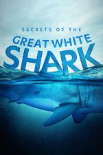 Watch Secrets of the Great White Shark M4uhd