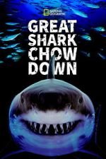 Watch Great Shark Chow Down M4uhd