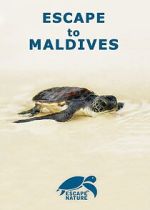 Watch Escape to Maldives M4uhd