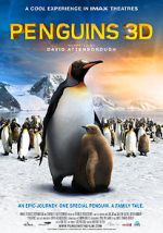 Watch Penguins M4uhd