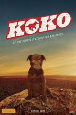 Watch Koko: A Red Dog Story M4uhd