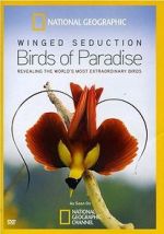 Watch Winged Seduction: Birds of Paradise M4uhd