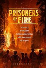 Watch Prisoners of Fire M4uhd