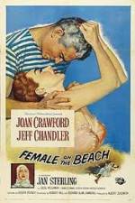 Watch Female on the Beach M4uhd